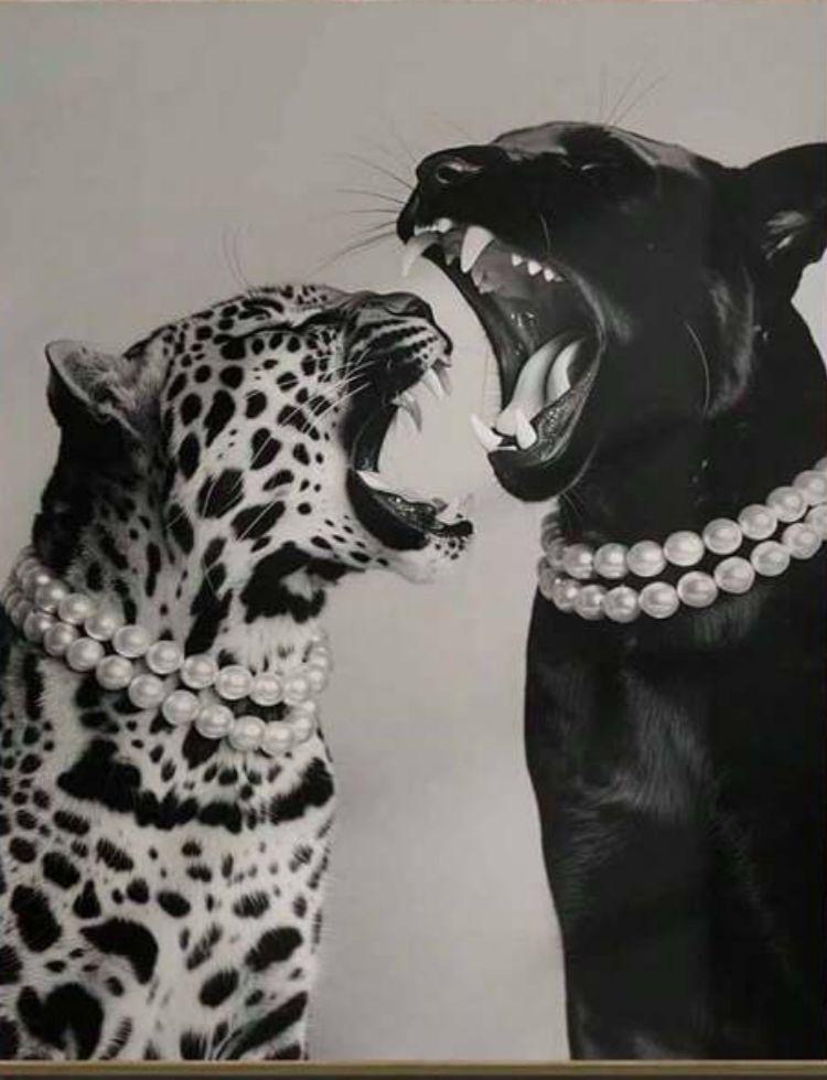 Wild & Pearls